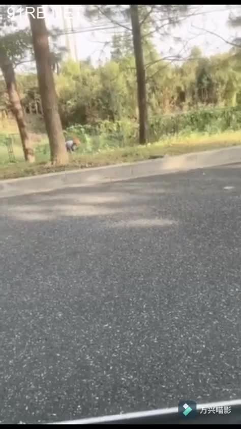 853b0052-3293-4f1a-a5c1-5b9b358c6177.mp4