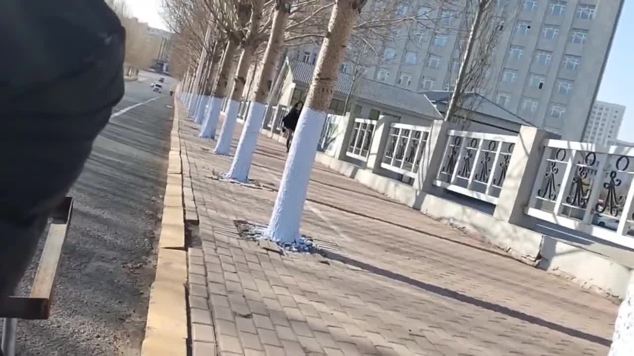 b1ac12ec-38eb-11f0-9672-a6565f242512.mp4