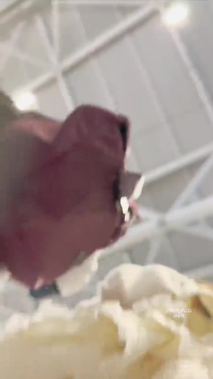 b0ac5f76-23c1-11f0-8a71-02f05352dc7f.mp4