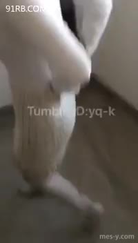 85ee42a9-fb13-439d-b3f6-a1e1f219927b.mp4