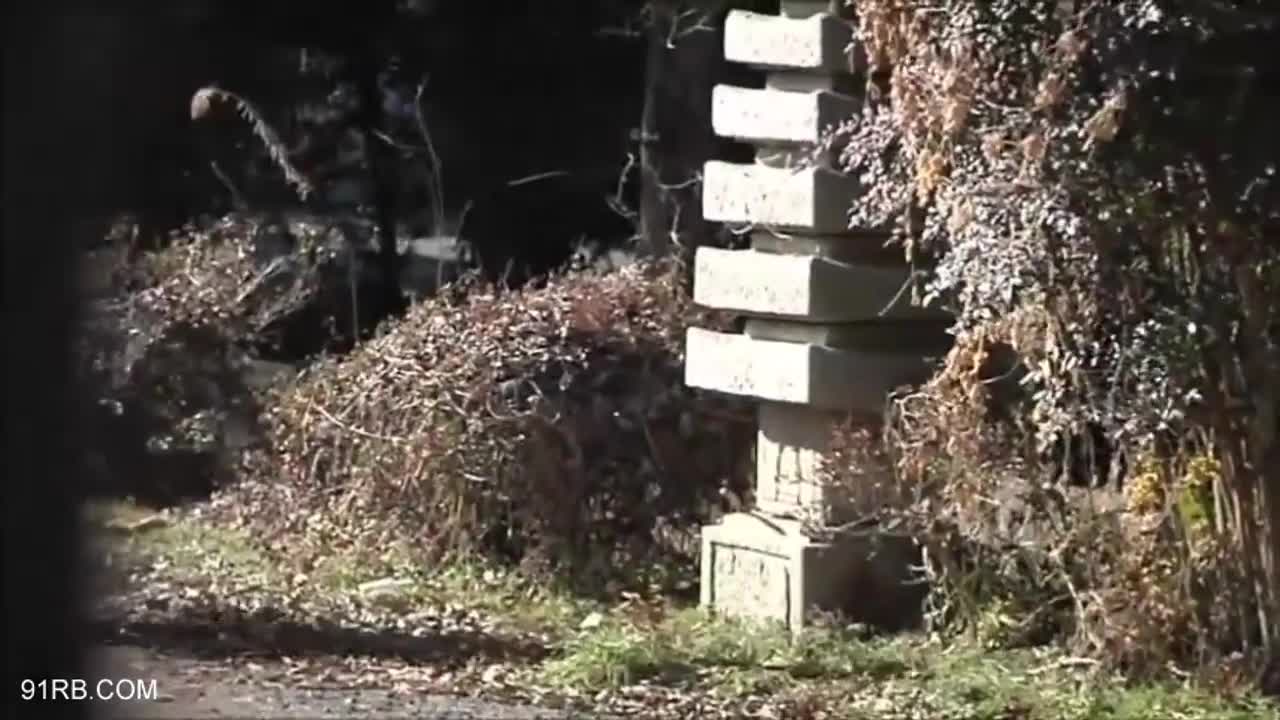 56fea89f-978f-4ac6-9d8e-e133117eca72.mp4