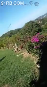 547bdf9d-a5de-485e-b7b0-b2666764a14b.mp4