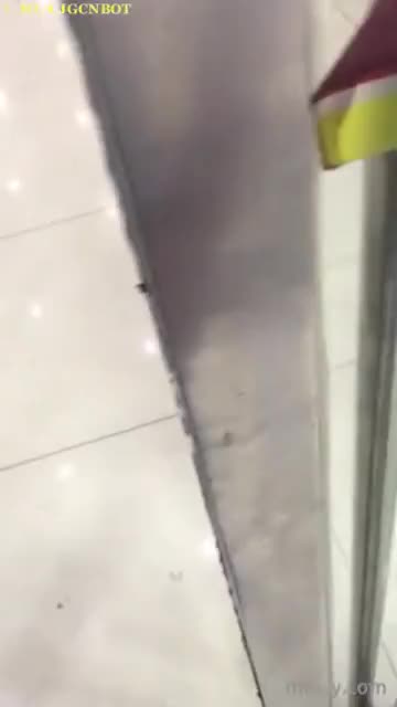 e6df250e-eb57-4492-84e0-0b8beaf6e847.mp4
