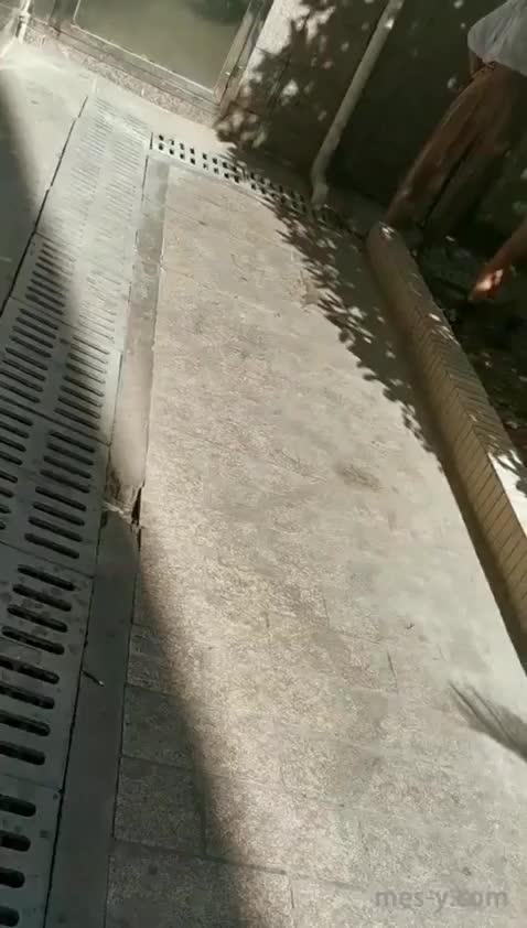 49d39370-3c15-44f1-b13c-f1b0a07af02f.mp4
