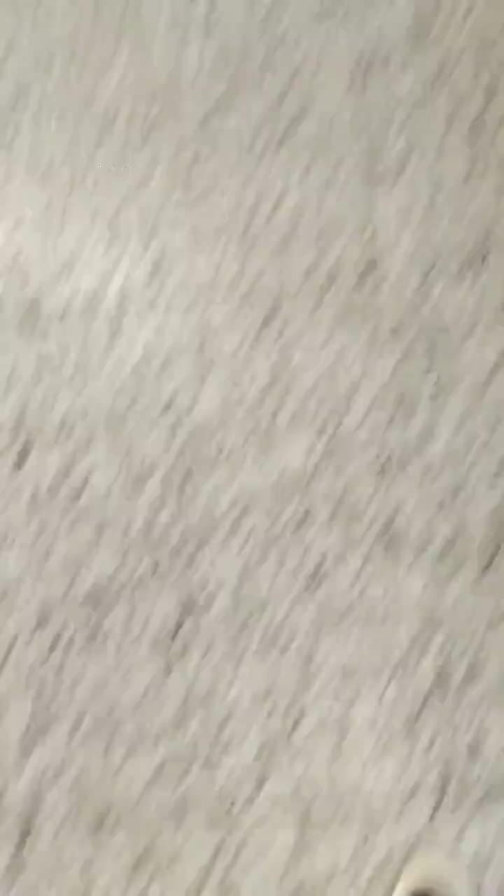 db4f36a0-2f37-11f0-930c-dea4e58f9af7.mp4