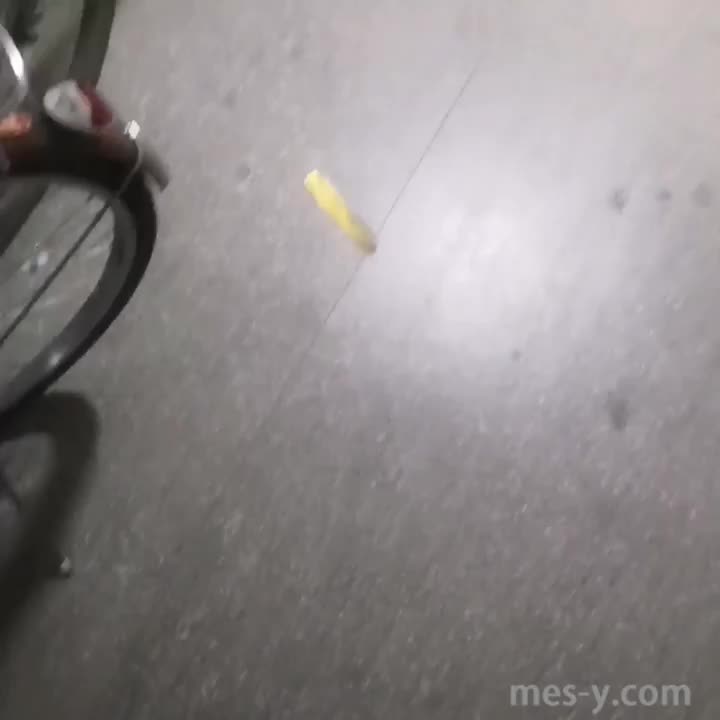 de500ee4-89a8-43dd-a003-9822e6972a47.mp4