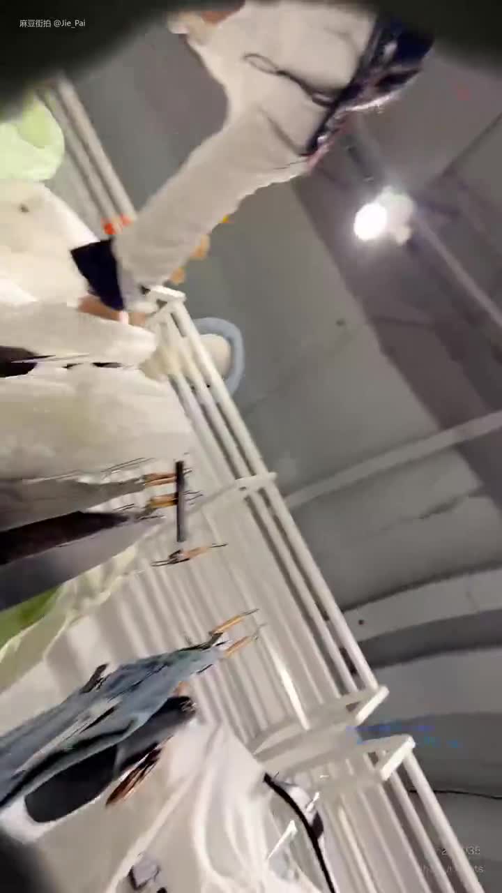 f87e3a78-383d-11f0-a625-86f3047237e2.mp4
