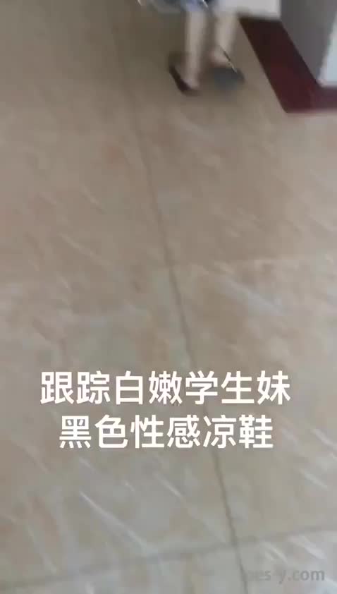 fd504942-735c-4a59-9cc0-c07b9f0ecbf2.mp4